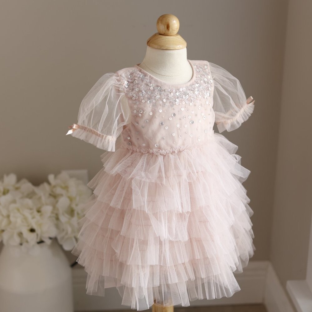Tutu Du Monde Blush Pink Bebé Tutu Dress Party Flower Girl Portrait NWT